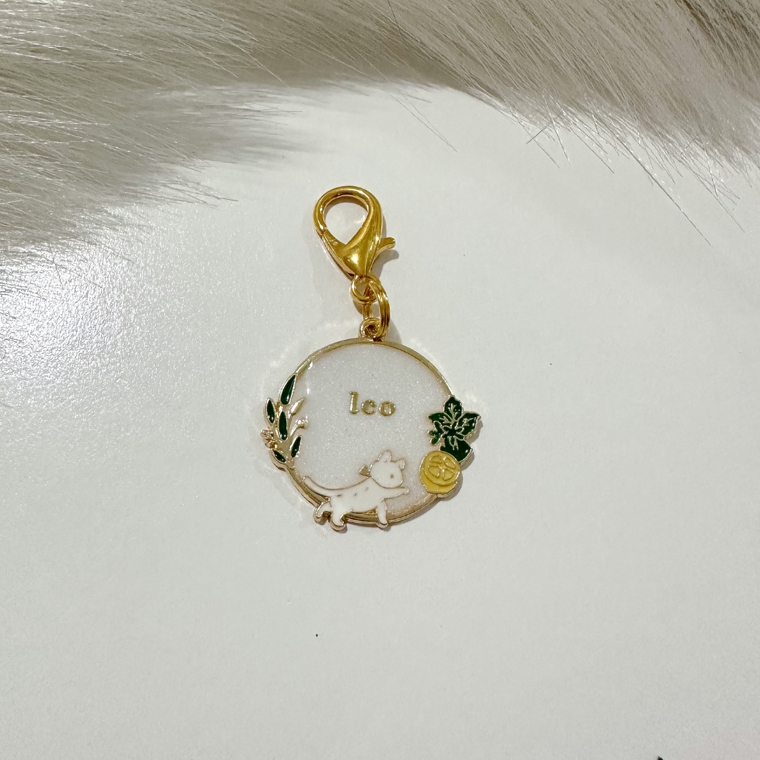 Little Lux Pet Tags