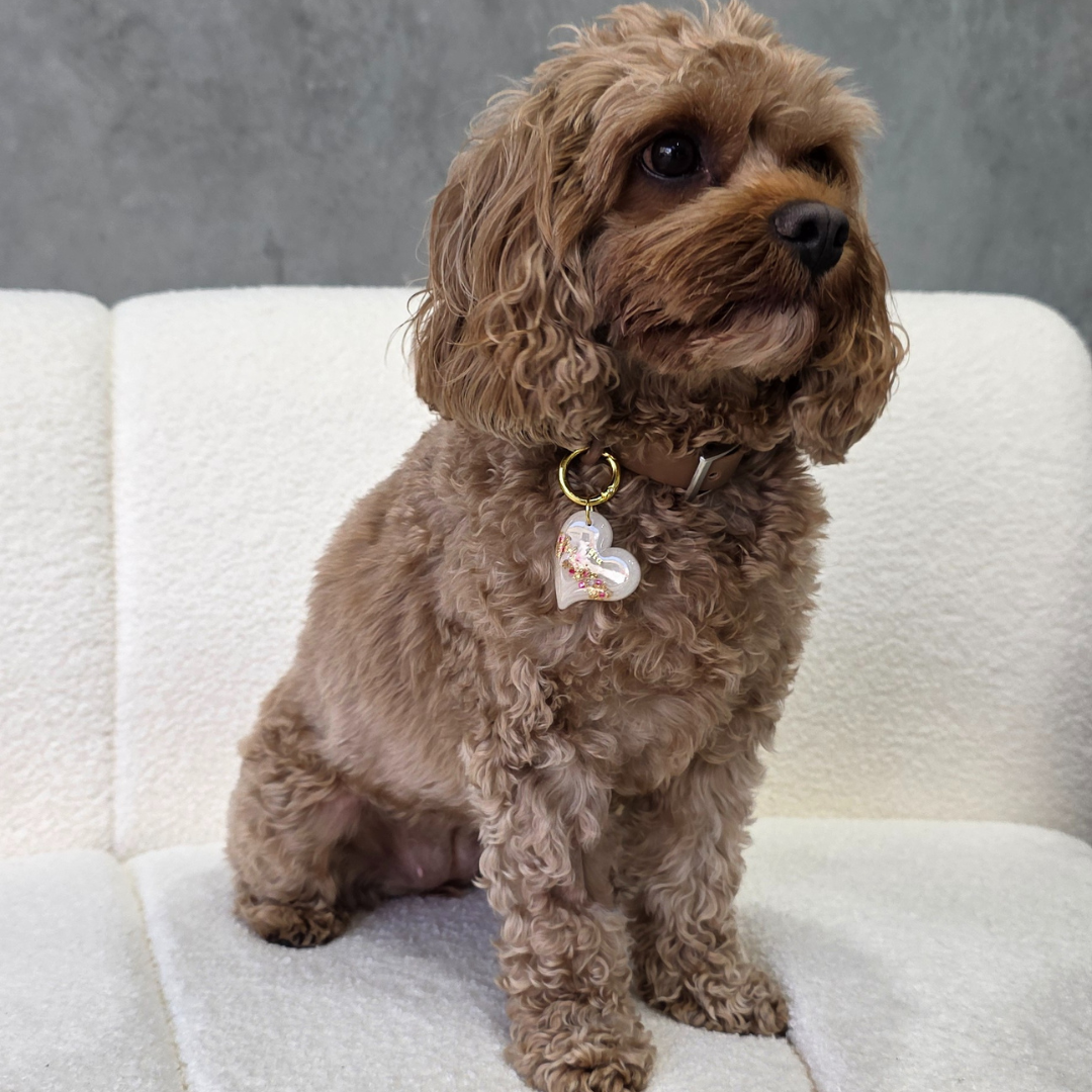 Jewelled Heart Pet ID Tag
