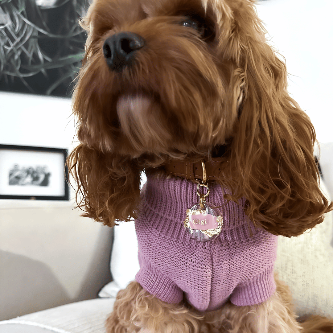 Golden Dreams Dog ID Tag
