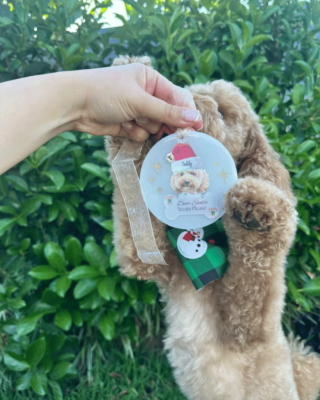Personalised Pet Portrait Christmas Tree ornaments, for both pets and their owners.