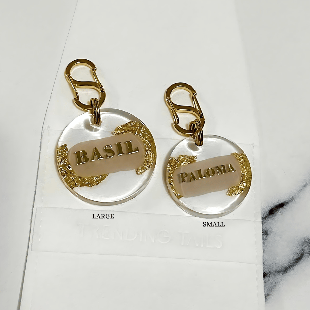 Golden Dreams Dog ID Tag