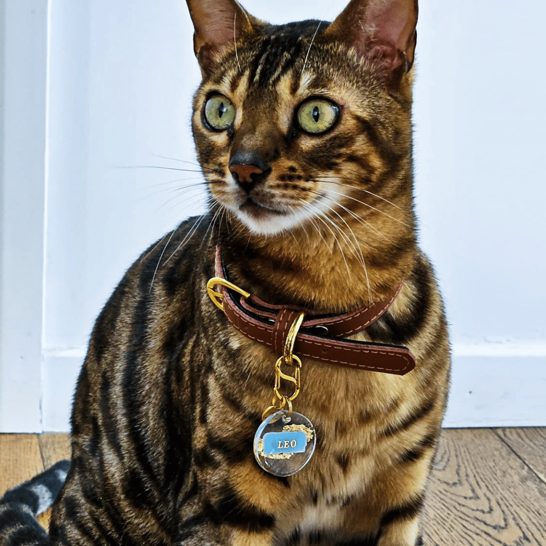 Golden Dreams Dog ID Tag