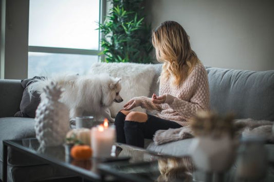 12 Simple Ways Pet Moms Can Spoil Their Fur babies at Home