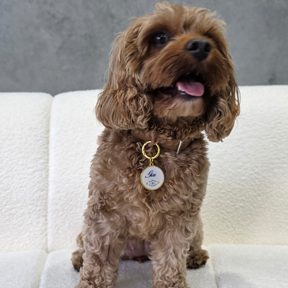 Evil Eye Pet ID Tag
