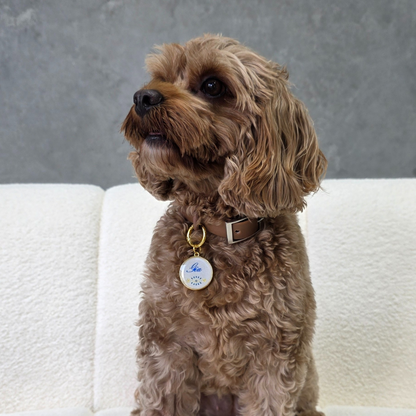 Evil Eye Pet ID Tag