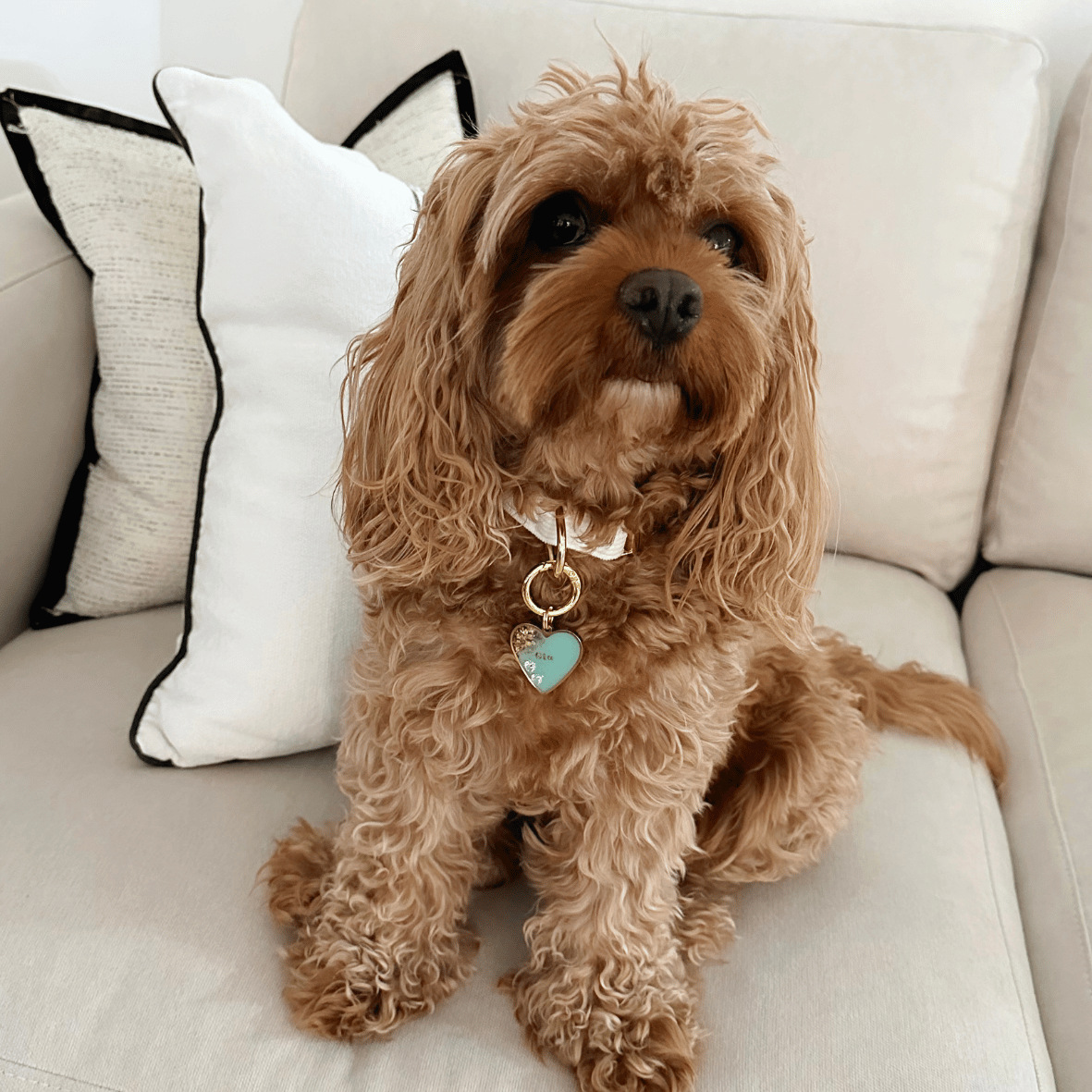 Gia's Signature Collection