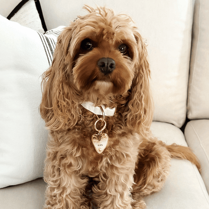 Gia's Signature Collection