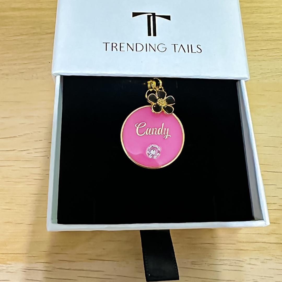 Trending Charms