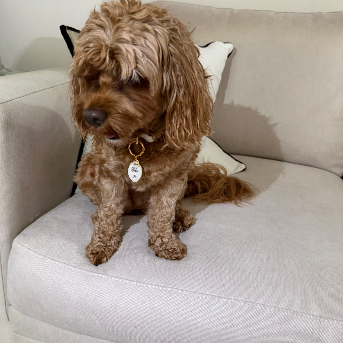 Petite Oval Diamond Tag