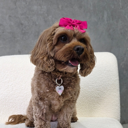 Bow and Bloom Pet Id Tag