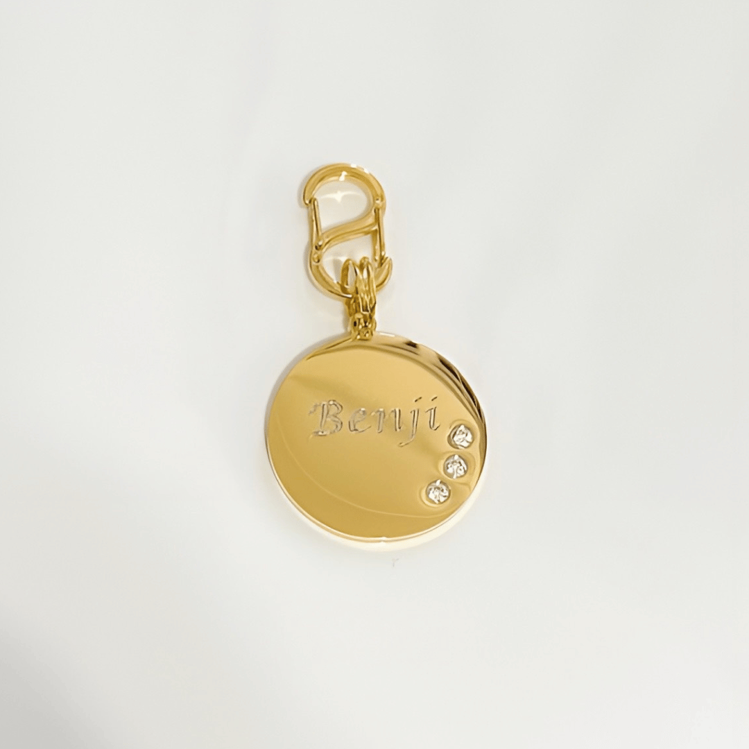 Round gold-plated stainless steel pet ID tag with cubic zirconia crystals and complimentary gold-plated stainless steel S-clasp.