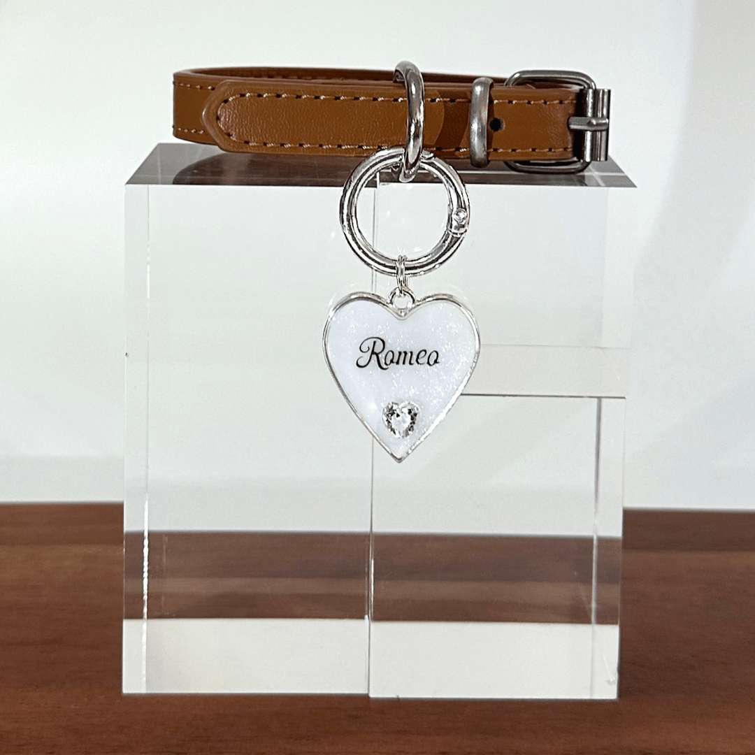 Forever Love Pet ID Tag