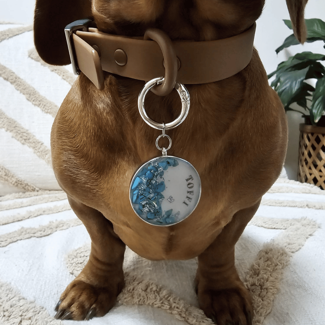 Shimmery white round pet ID tag with silver stainless steel hardware, turquoise blue stones and silver foil, dog ID tag.