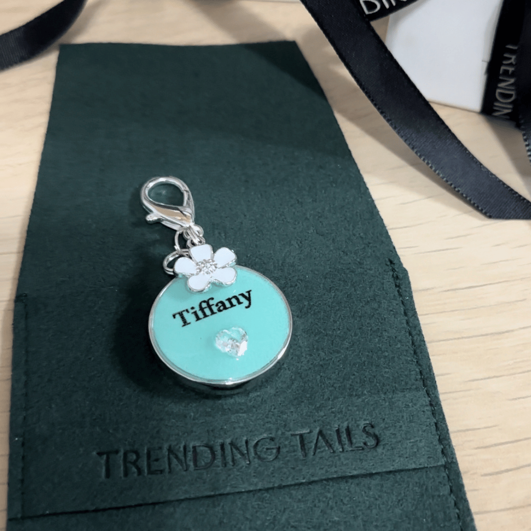 Round aqua blue pet ID tag with silver stainless steel hardware and heart-shaped cubic zirconia crystal, Tiffany blue and silver pet ID tag.