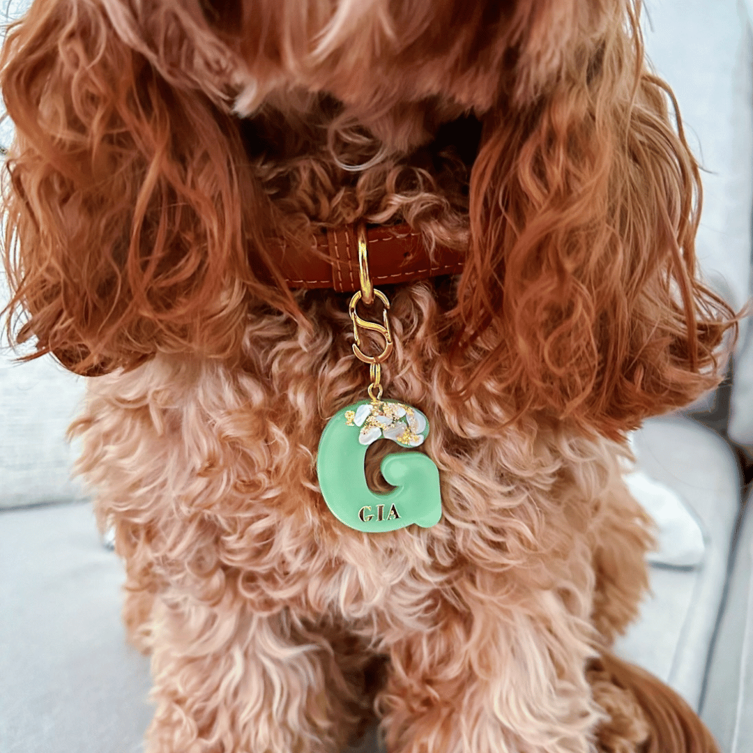 Signature Initial Dog ID Tag. Trending Tails