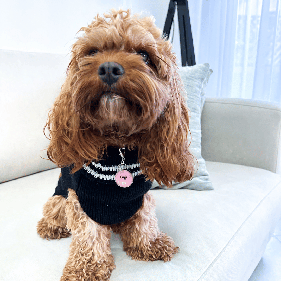 Round pink pet ID tag with silver stainless steel hardware and cubic zirconia crystal, pink and silver pet ID tag.