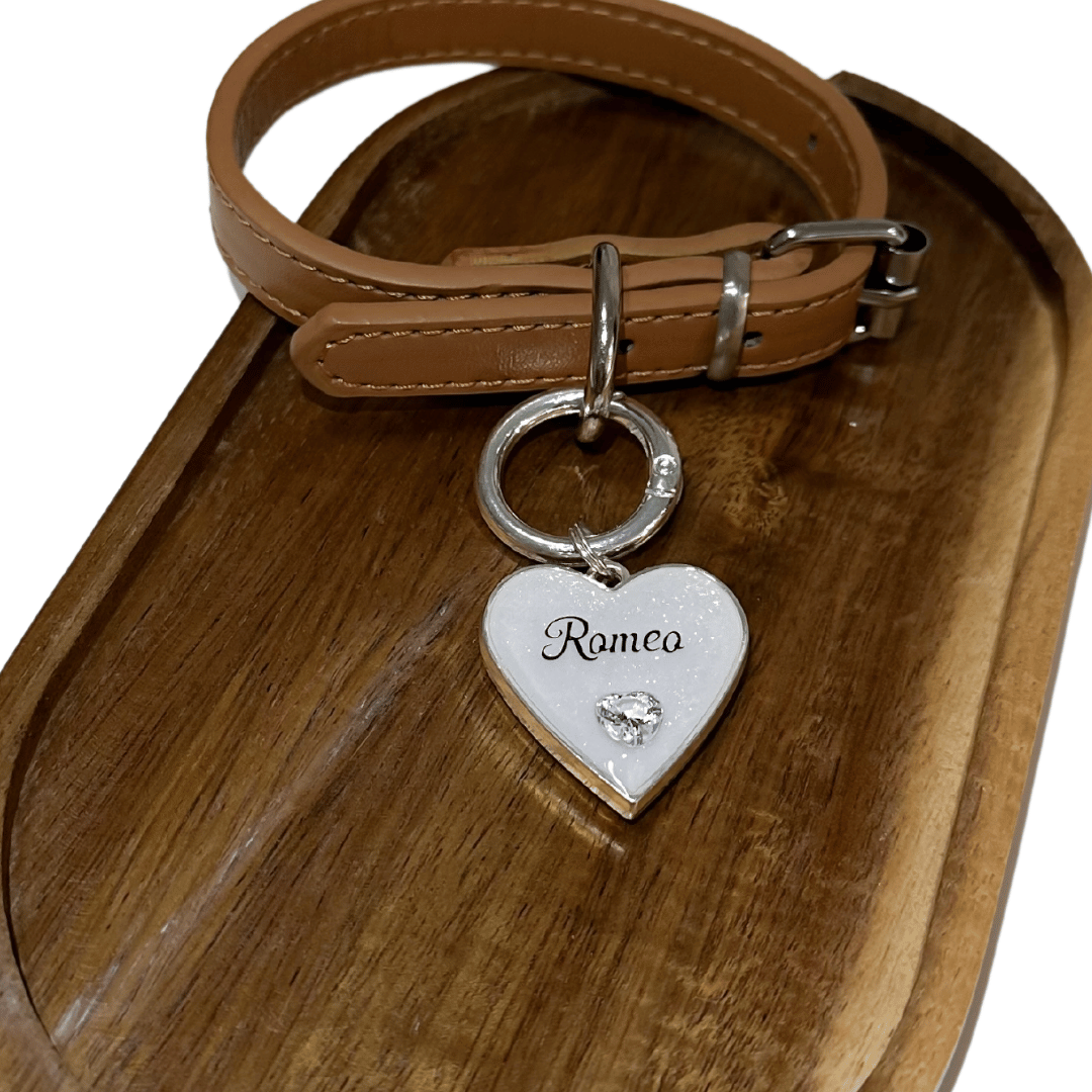 Forever Love Pet ID Tag